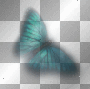 turquoise butterfly- melarocks_stamps