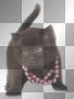 DODATKI DECO PEARL TRANSPARENT DODATKI DECO PEARL TRANSPARENT