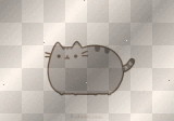 Cat dancing