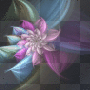 background flowers background flowers