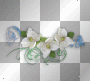 transparent flower dubravka
