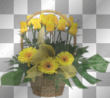MELBA  FLORES YELLOWS