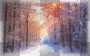 MELBA WINTER