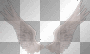 Angel Wings - TracyMcGibbon