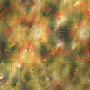 Animated background leaves green orange spring summer autumn fantasy