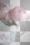 TEA AND ROSES TEA AND ROSES