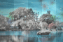 Infra red