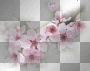 amon // spring blossom