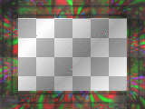 artemia