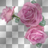 Pink Roses Frame Corner__