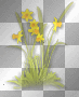 Flowers yellow grass