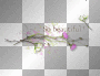 Flowers beautiful words text overlay