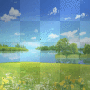 Background spring summer water flowers flower animated