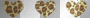 cheetah hearts