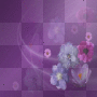 SPRING BACKGROUND FRAME FLOWER PURPLE SPRING BACKGROUND FRAME FLOWER PURPLE
