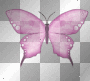 animated butterfly pink