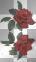 Rose + Fluss