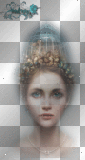 artemia-©pacha