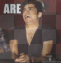 Are Zayn LOL