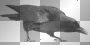 crow#4 thessa