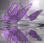 Butterflies in purple.