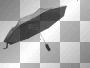 black and white umbrella