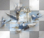 amon // seagulls