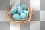 Eggs nest blue 