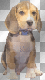 Animated Cute Beagle