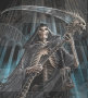 skulls joerg_72