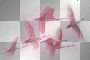 amon // flamingo birds
