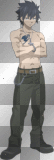 Gray Fullbuster
