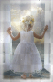 Baby Angel Love White Gold Flowers_