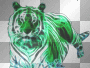 Bengal Tiger-2H, Transparent