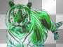 Bengal Tiger-2G, Transparent