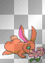 lapin