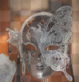 ****     Ravissant     Papillon     ****
