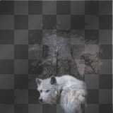 Gothic White Wolf Dark BG   By BRU 