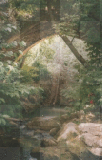 paysage 
