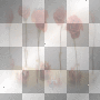 soave background transparent flowers red