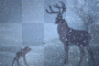 Bambi & Dad in Winter