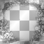 Fantasy flowers,black'white.
