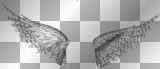 in utero wings B&w