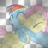 rainbow dash and fluttershy hug bff