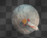 ORBIT THE MOON