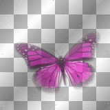 [ butterfly. pink. deco. fantasy. ♥. ] ⓒ s ᴛ ᴇ ᴡ