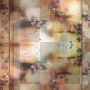 butterfly fantasy bg 