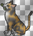 Spottedleaf