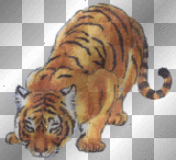 Tigres ...