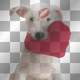 Cute Puppy With Red Heart